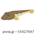 ハゼ ハゼ 55027697