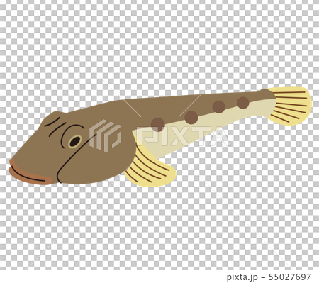 蝦虎魚 55027697