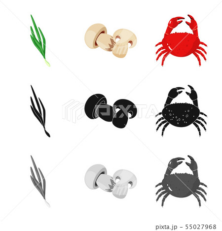 Isolated object of taste and product symbol. Collection of taste and cooking stock symbol for web. 55027968