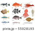 海の魚セット 海の魚セット 55028193