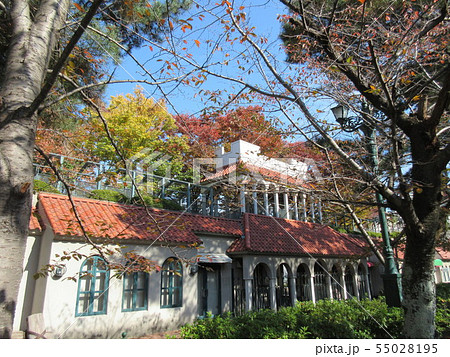秋の宝塚 花のみち 黄葉の木とオレンジ色の瓦屋根の写真素材