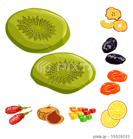 Isolated object of fruit and dried sign. Set of fruit and food stock vector illustration. Isolated object of fruit and dried sign. Set of fruit and food stock vector illustration. 55029235
