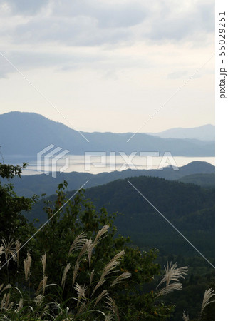 風景季節写真　初秋の田沢湖とススキ 秋の澄み切った空と田沢湖の青 55029251