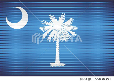 Shiny Grunge flag of the South Carolina 55030391