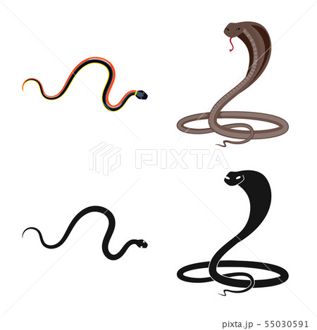 Vector design of mammal and danger icon. Collection of mammal and medicine vector icon for stock. 55030591