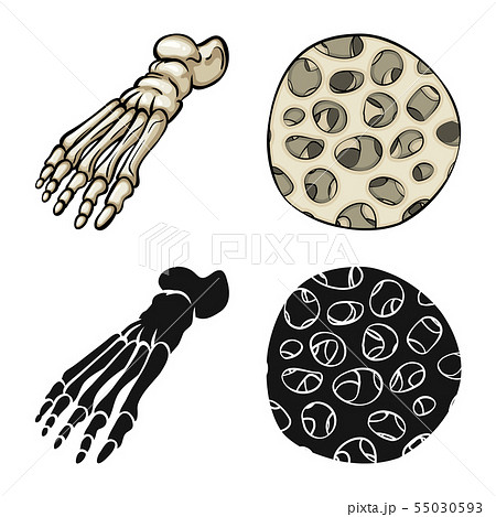 Vector design of medicine and clinic icon. Set of medicine and medical vector icon for stock. Vector design of medicine and clinic icon. Set of medicine and medical vector icon for stock. 55030593
