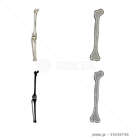 Isolated object of medicine and clinic sign. Set of medicine and medical stock vector illustration. Isolated object of medicine and clinic sign. Set of medicine and medical stock vector illustration. 55030740