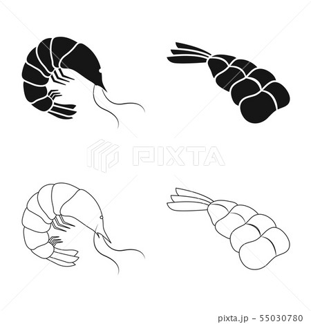 Vector design of appetizer and ocean symbol. Set of appetizer and delicacy stock symbol for web. 55030780