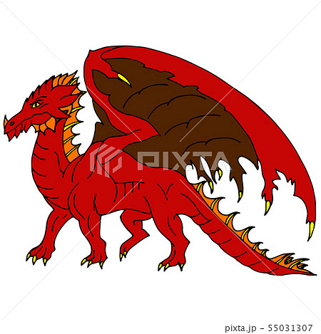 The chinese dragon. The symbol of Feng Shui. 55031307