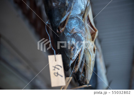 塩引鮭 伝統の加工法 塩引鮭 伝統の加工法 55032802