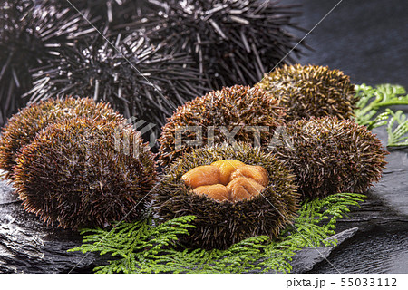 北海道の美味しい雲丹 北海道の美味しい雲丹 55033112