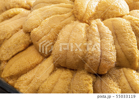 北海道の美味しい雲丹　 55033119