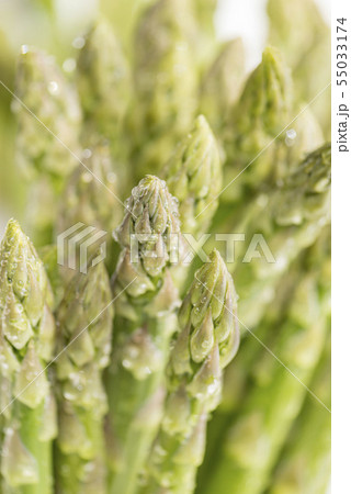 新鮮で美味しいアスパラガス 55033174