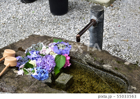 花手水 花手水 55033563