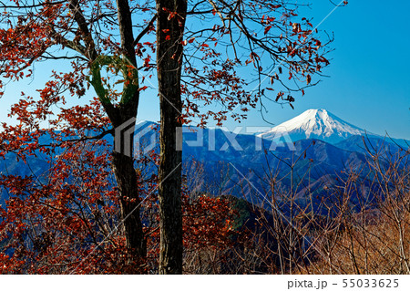 晩秋の倉岳山から見る富士山 55033625