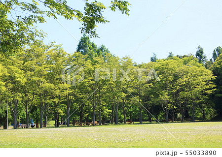 夏の公園 55033890