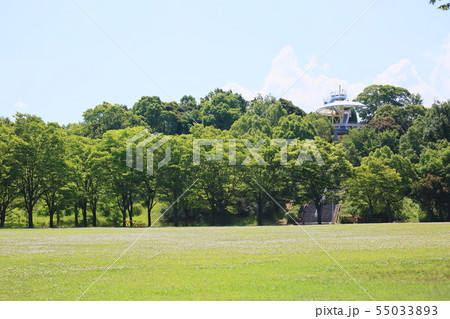 夏の公園 夏の公園 55033893