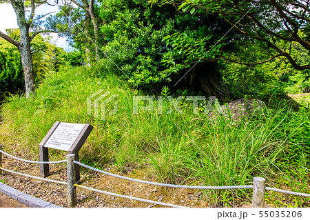 百合畑古墳園　【長崎県壱岐市】 55035206