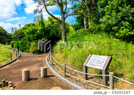 百合畑古墳園　【長崎県壱岐市】 55035207