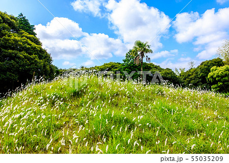百合畑古墳園 【長崎県壱岐市】 百合畑古墳園 【長崎県壱岐市】 55035209
