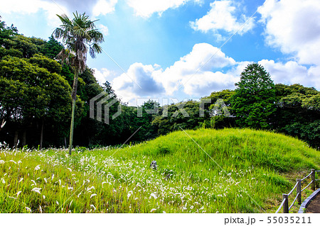百合畑古墳園　【長崎県壱岐市】 55035211