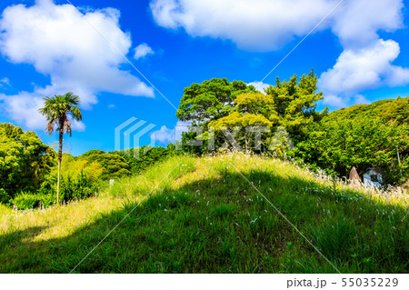 百合畑古墳園　【長崎県壱岐市】 55035229