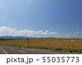 北海道旅行のイメージ パッチワークの路  55035773