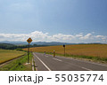 北海道旅行のイメージ パッチワークの路 55035774