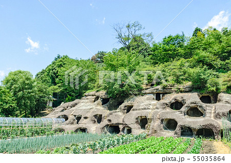 長岡百穴古墳 55035864