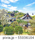 尾道 天寧寺 水彩風イラスト 55036104
