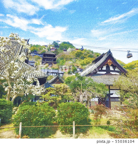 尾道 天寧寺 水彩風イラスト 55036104
