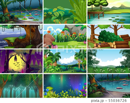 Empty, blank landscape nature scenes Empty, blank landscape nature scenes 55036726