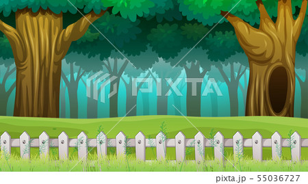 Woods scene with fence Woods scene with fence 55036727