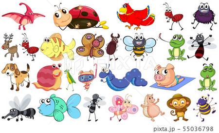 Set of different animals Set of different animals 55036798