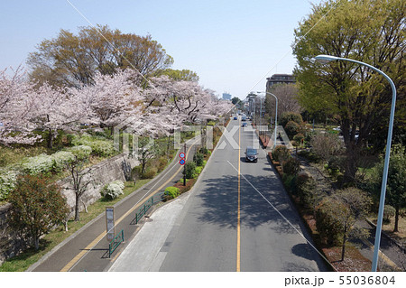 都立武蔵国分寺公園前(多喜窪通り/泉町二丁目バス停) 都立武蔵国分寺公園前(多喜窪通り/泉町二丁目バス停) 55036804
