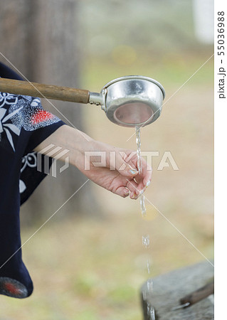 浴衣イメージ 55036988