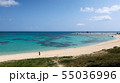 土盛海岸 55036996
