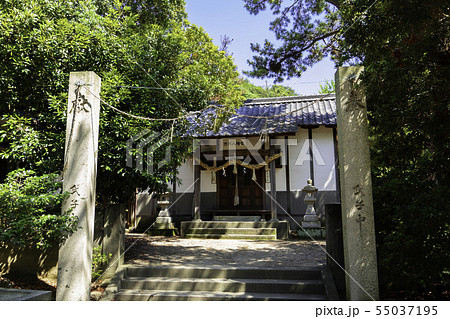 渋川八幡宮 拝殿 渋川海水浴場 岡山県玉野市 渋川八幡宮 拝殿 渋川海水浴場 岡山県玉野市 55037195