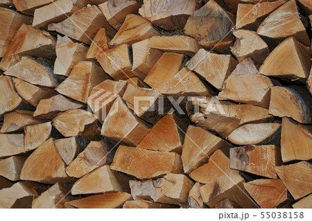 Close-up folded fresh logs from tree of Fagus Close-up folded fresh logs from tree of Fagus 55038158