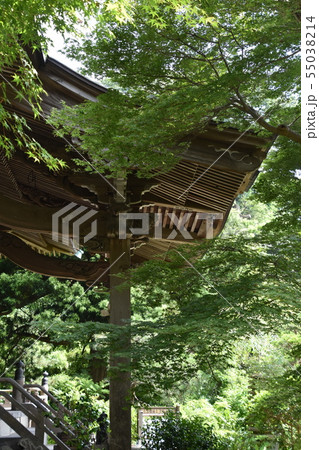 鎌倉市 妙法寺 本堂 鎌倉市 妙法寺 本堂 55038214