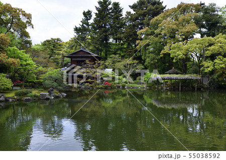 京都御苑　拾翠亭と藤棚 55038592