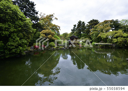 京都御苑　拾翠亭と藤棚 55038594