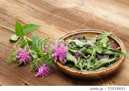 Fersh and dried  bergamot 55038691