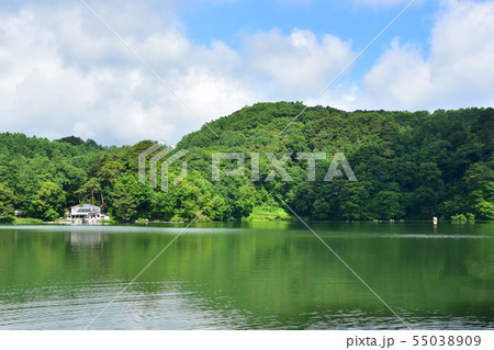 山梨県清里の美しの池 山梨県清里の美しの池 55038909
