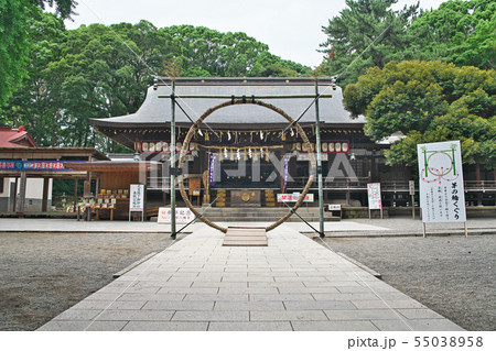 平塚八幡宮 御殿と茅の輪 (夏) 平塚八幡宮 御殿と茅の輪 (夏) 55038958
