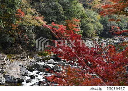 山口県長門峡の紅葉の写真素材