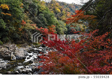 山口県長門峡の紅葉の写真素材