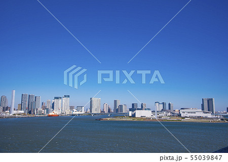 【豊洲市場　水産棟】 55039847