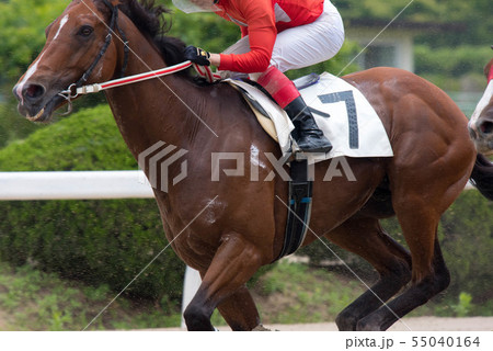 佐賀競馬 佐賀競馬 55040164