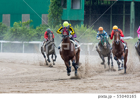 佐賀競馬 55040165